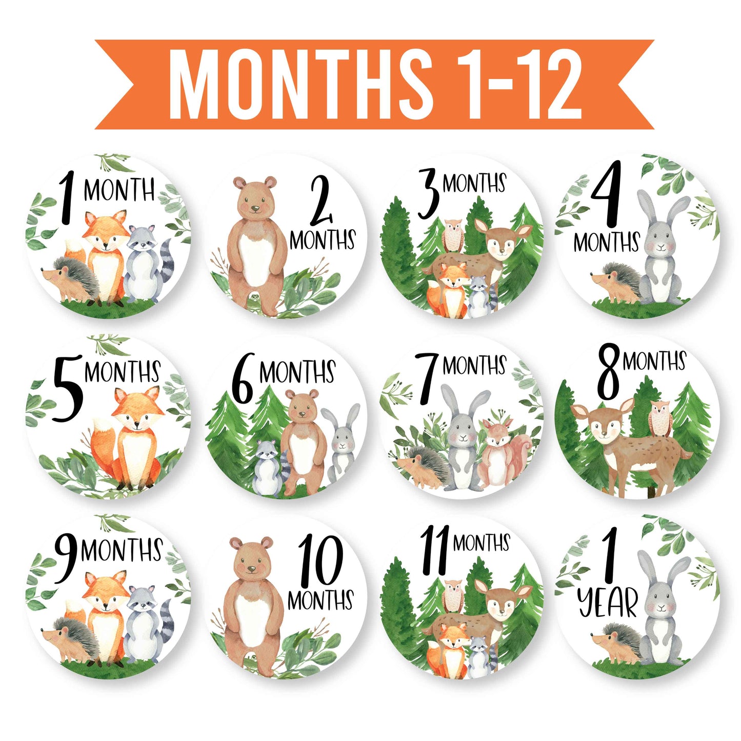 6 Woodland Baby Closet Dividers & 20 Baby Milestone Stickers in Earthy Browns, Greens & Neutrals