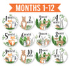 6 Woodland Baby Closet Dividers & 20 Baby Milestone Stickers in Earthy Browns, Greens & Neutrals