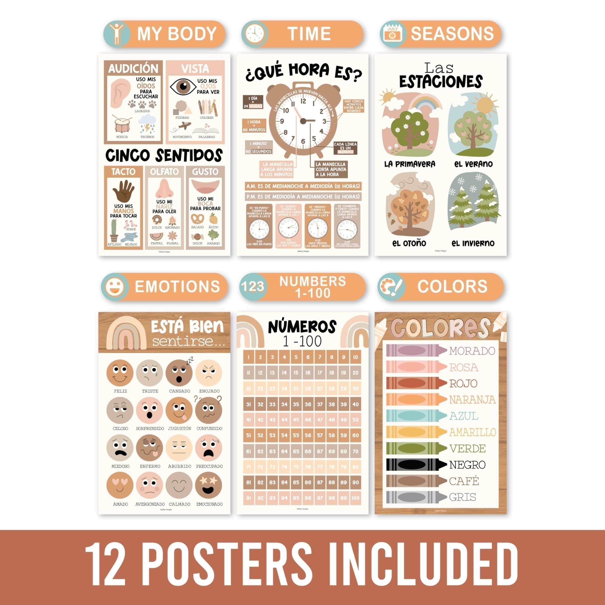 Spanish Posters | Set of 12 | Spanish Educational Supplies