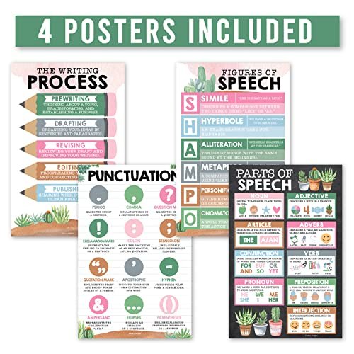 Cactus Grammar Posters | Set of 4 | Educational Supplies