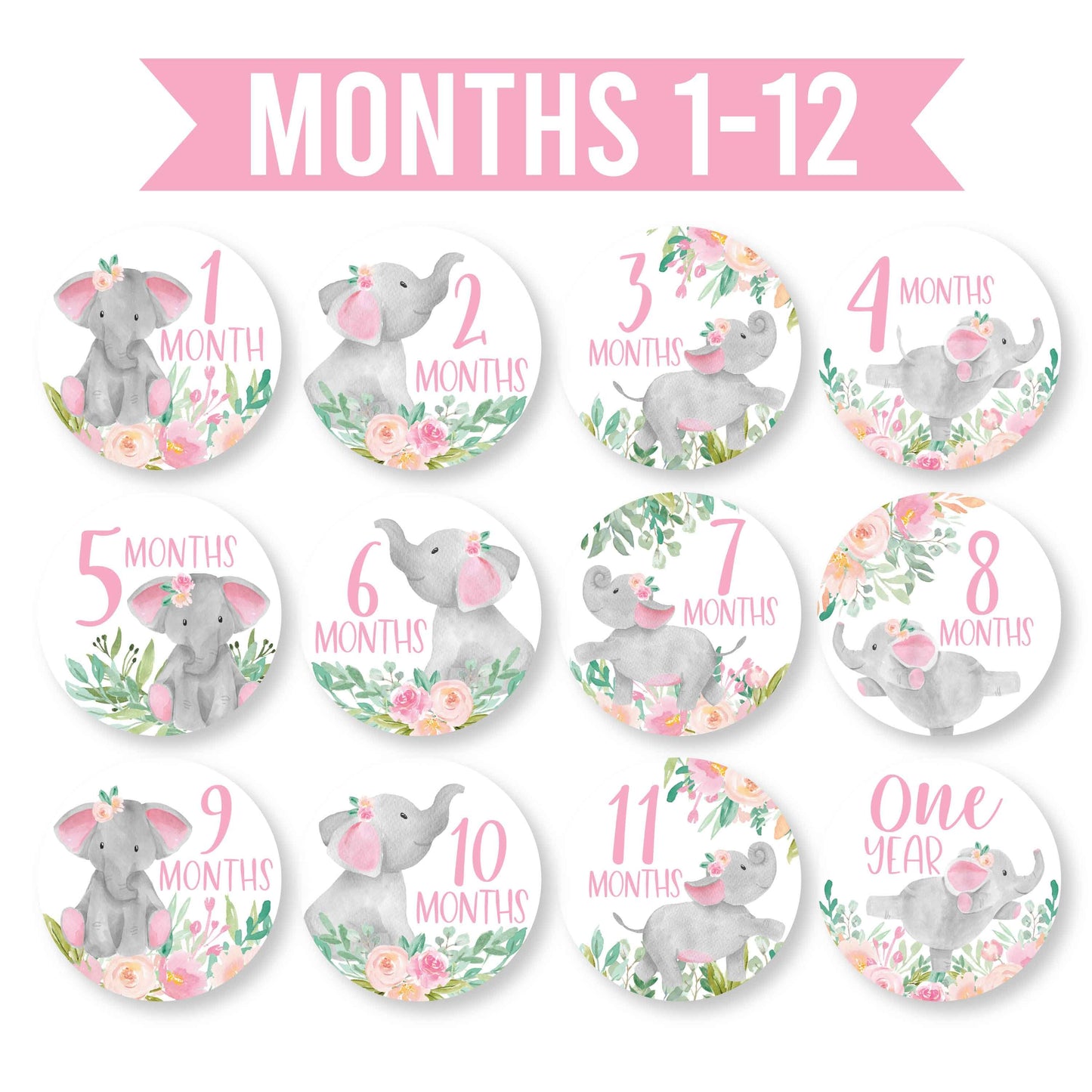 Baby Milestone Stickers | Set of 20 | Baby Supplies
