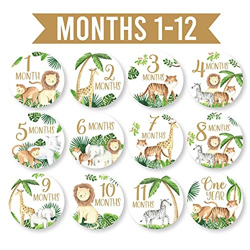 Baby Milestone Stickers | Set of 20 | Baby Supplies