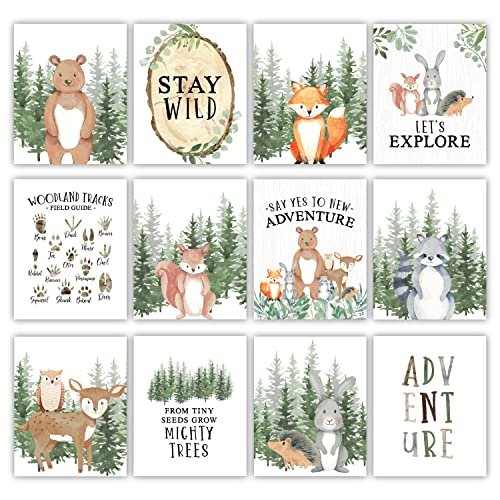 Woodland Children's Wall Art | Set of 6 | Nursery Decor