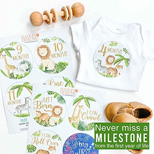 Baby Milestone Stickers | Set of 20 | Baby Supplies