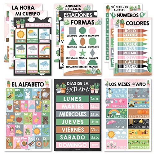 Cactus Spanish Posters | Set of 12 | Spanish Educational Supplies