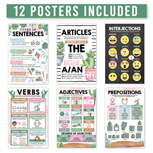 Cactus Parts of Speech Posters | Set of 12 | Educational Posters