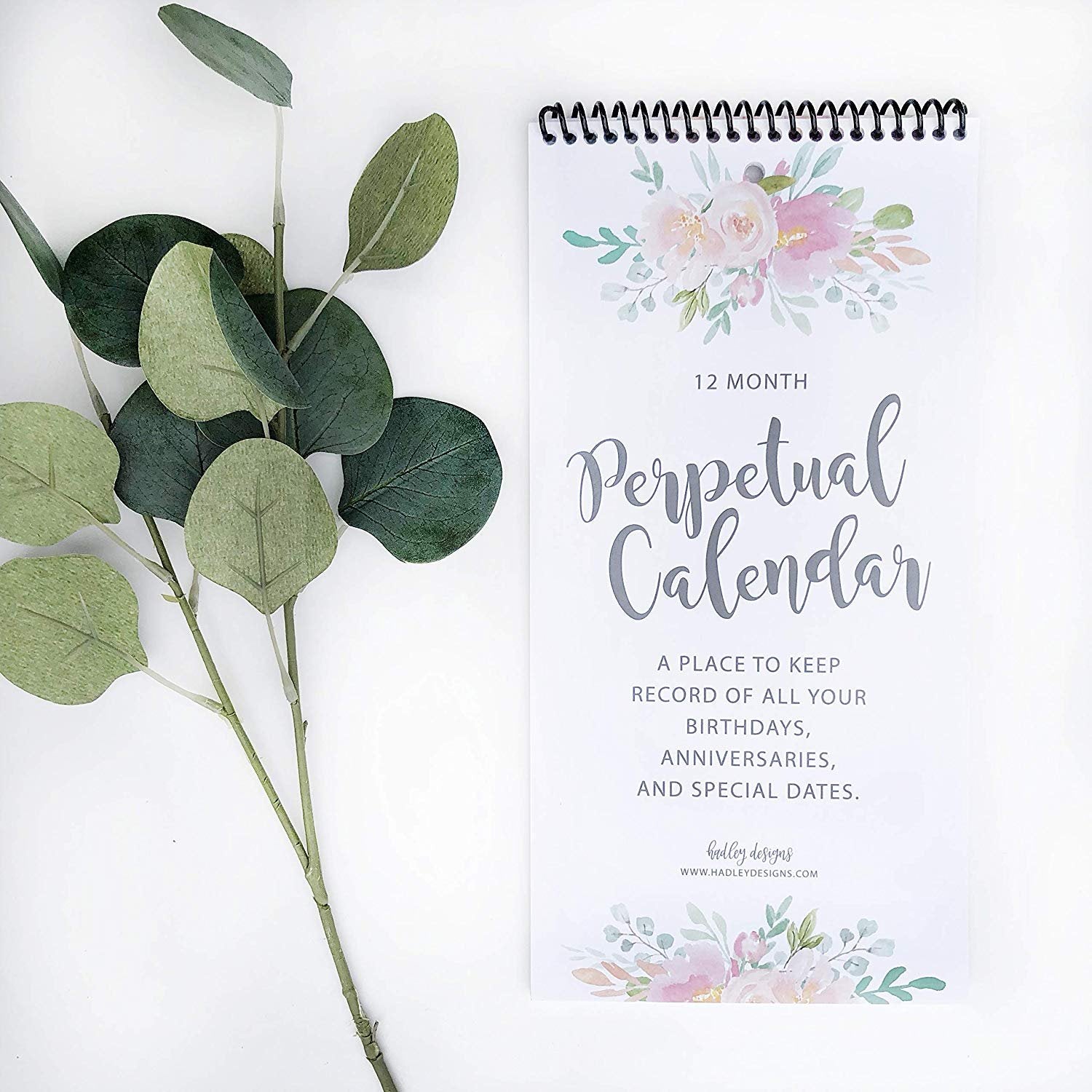 Perpetual Calendar | 12 Months | Home & Organization