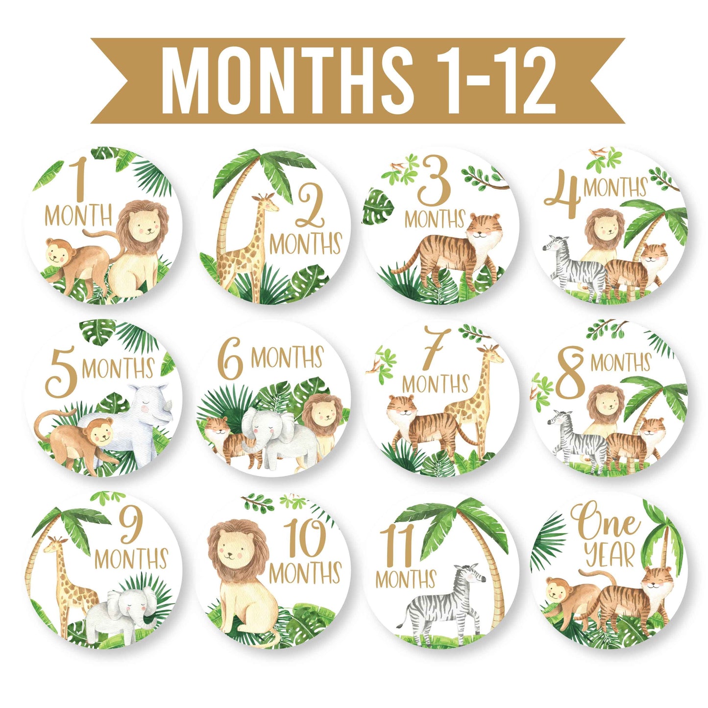 Baby Milestone Stickers | Set of 20 | Baby Supplies