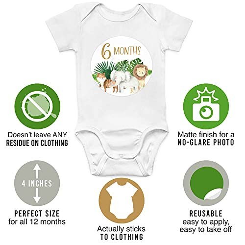 Baby Milestone Stickers | Set of 20 | Baby Supplies