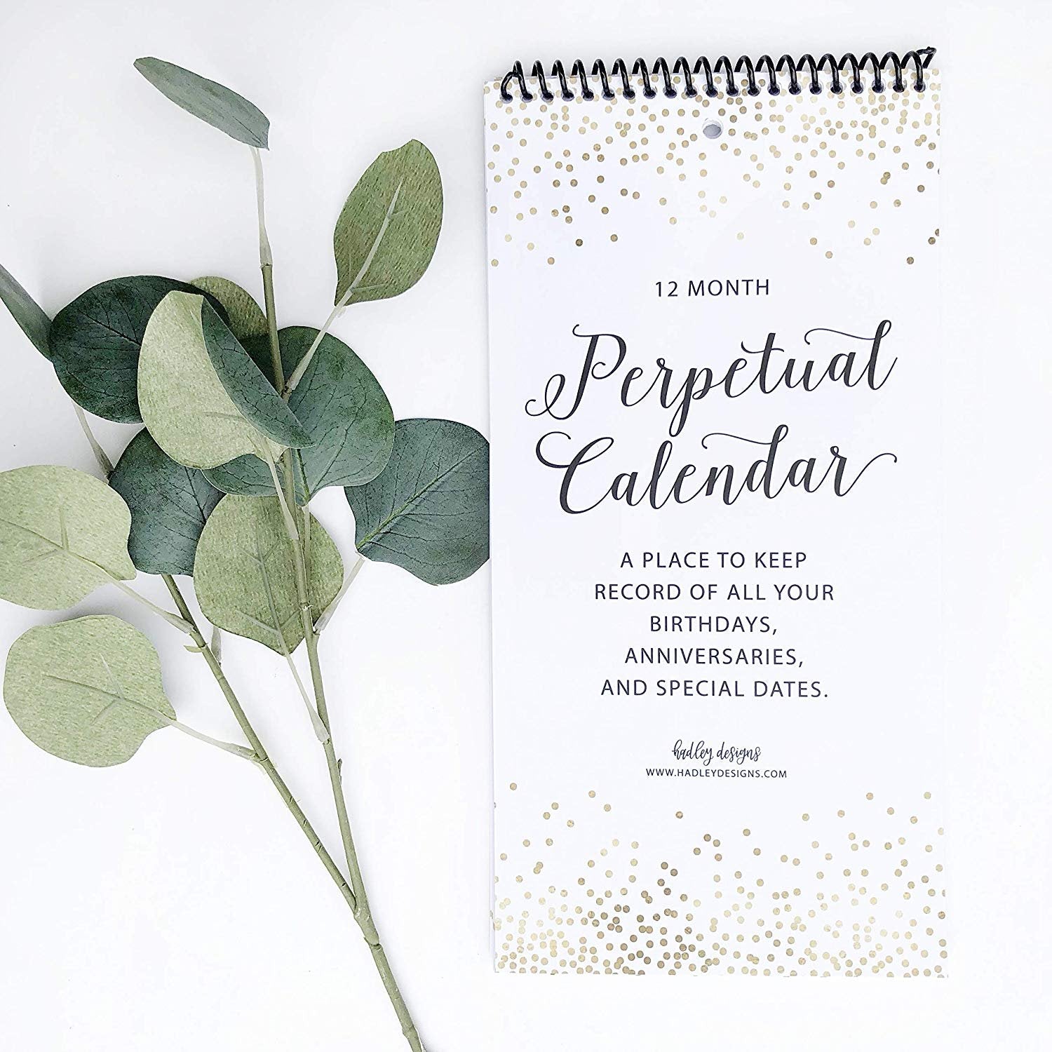 Perpetual Calendar | 12 Months | Home & Organization