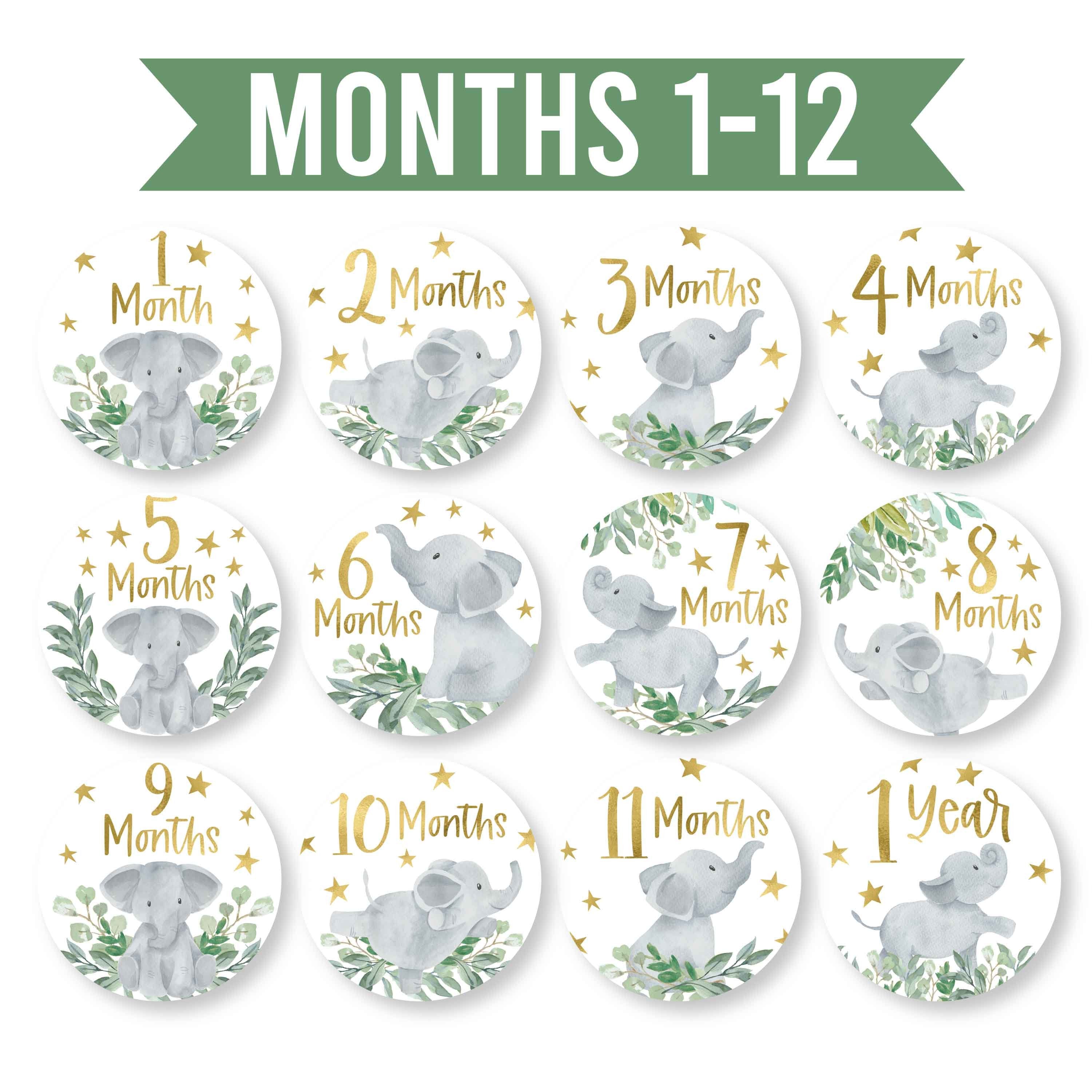 Baby Milestone Stickers | Set of 20 | Baby Supplies