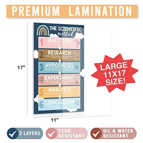 Science Posters | Set of 4 | Educational Posters