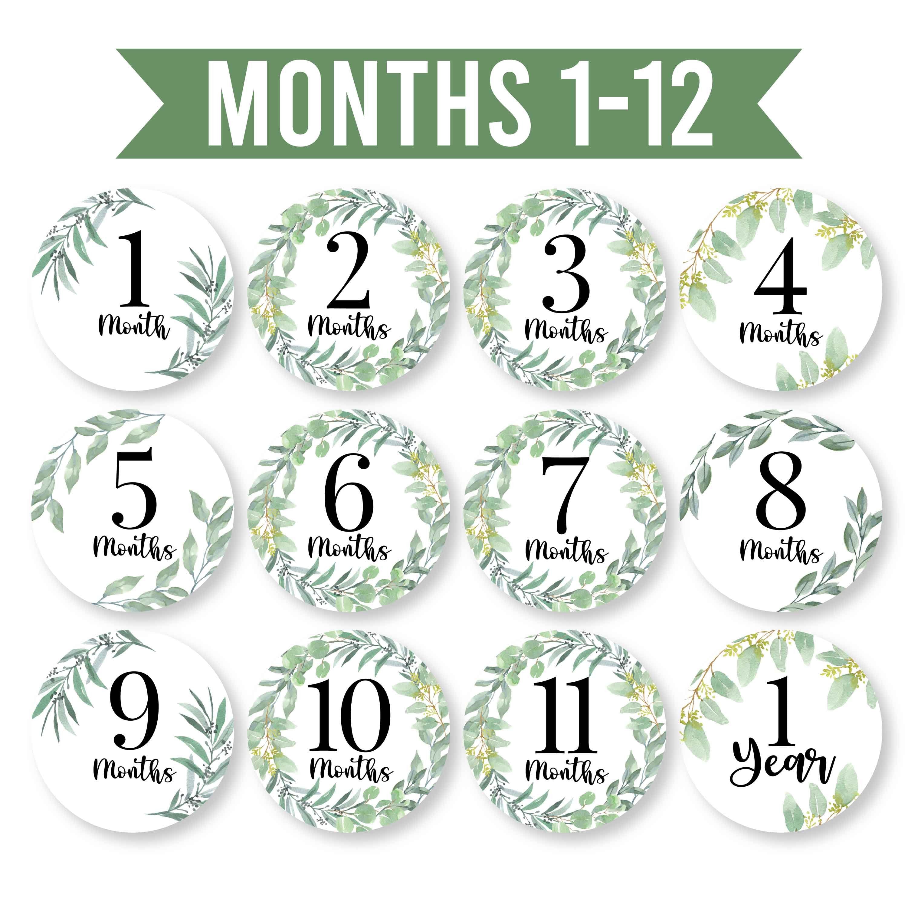 Baby Milestone Stickers | Set of 20 | Baby Supplies