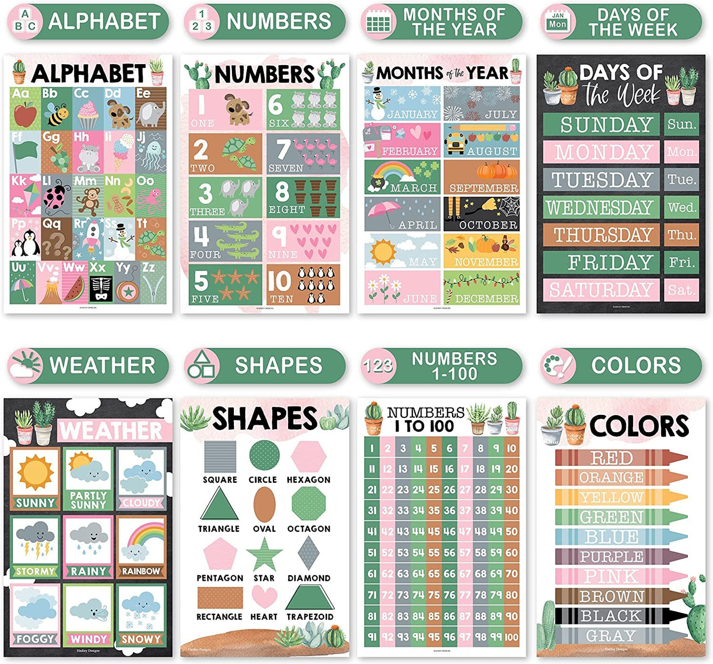 Cactus Educational Posters | Set of 16 | Classroom Supplies