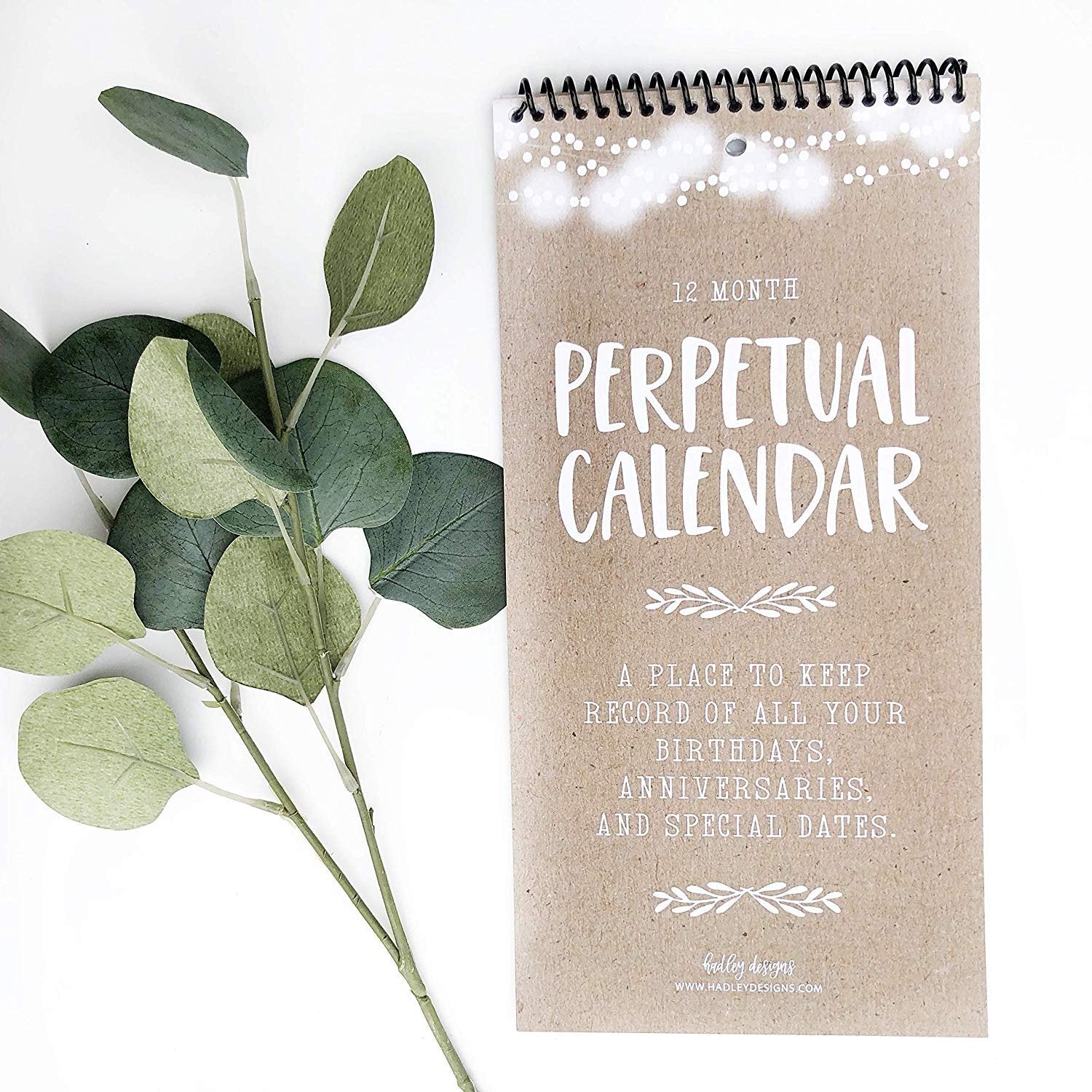 Perpetual Calendar | 12 Months | Home & Organization