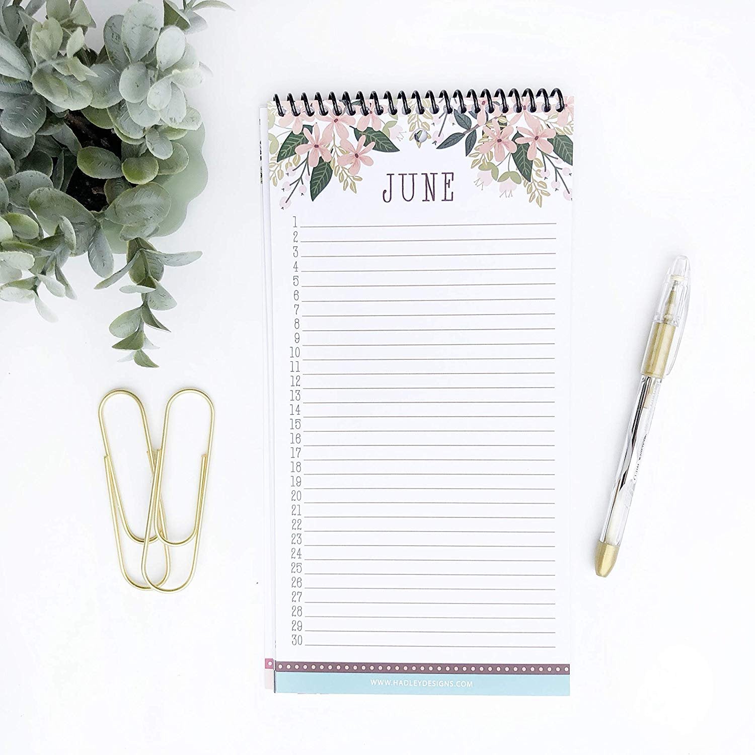 Perpetual Calendar | 12 Months | Home & Organization