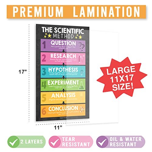 Science Posters | Set of 4 | Educational Posters