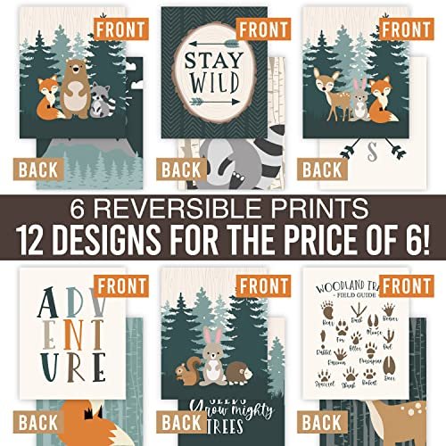 Woodland 2 Children's Wall Art | Set of 6 | Nursery Decor