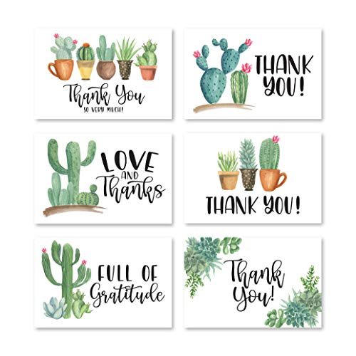 Cactus Folded Thank You Cards | Set of 24 | General