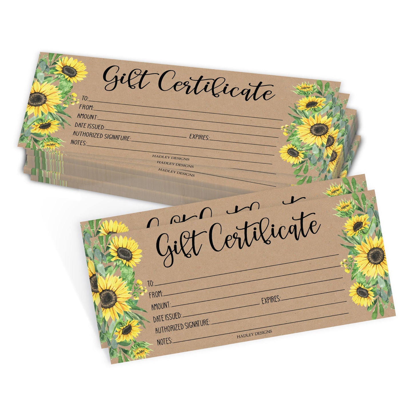 Blank Gift Certificates | Set of 25 | Business & Office Supplies
