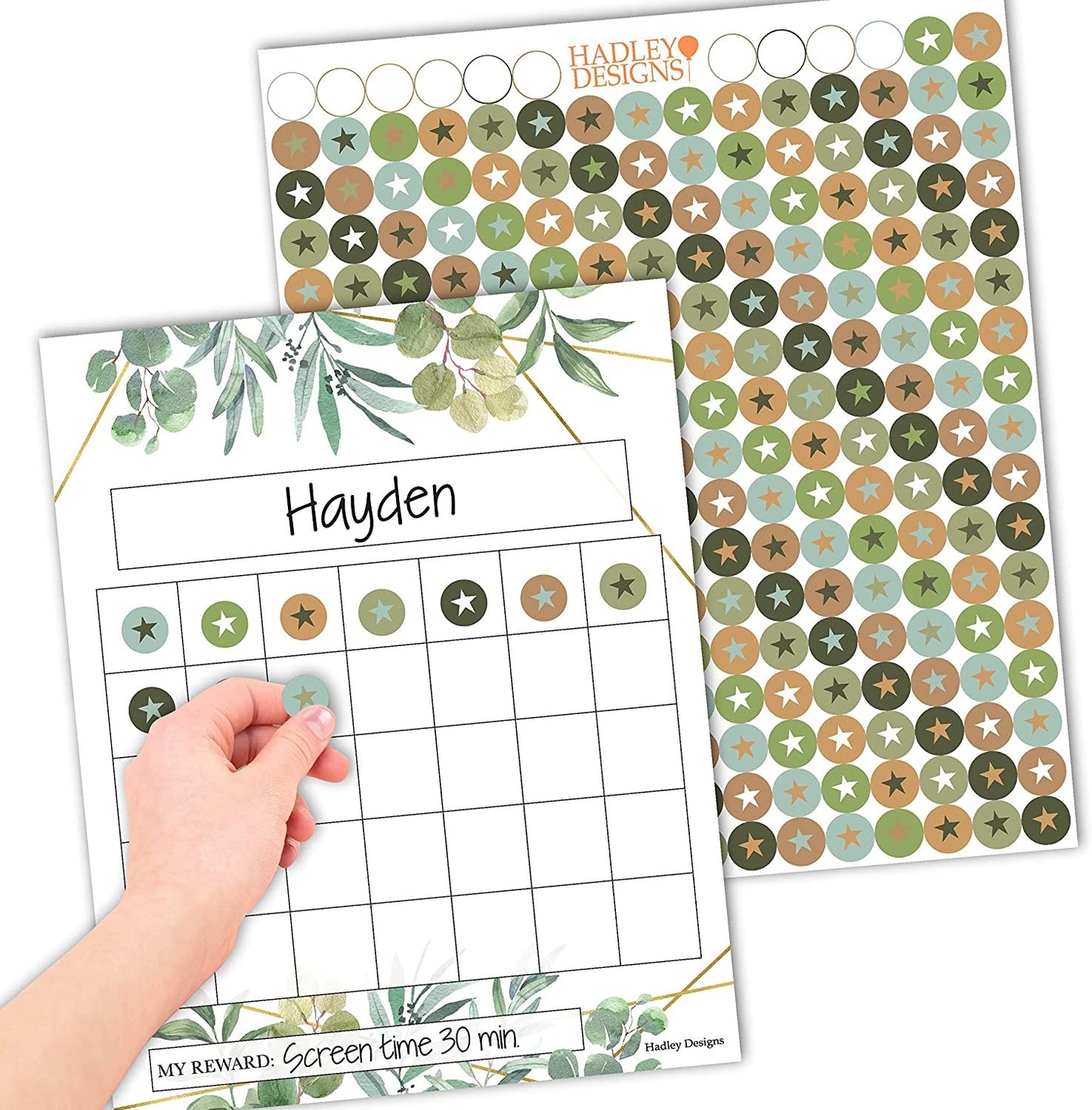 Incentive Charts | Set of 25 | Home Essentials