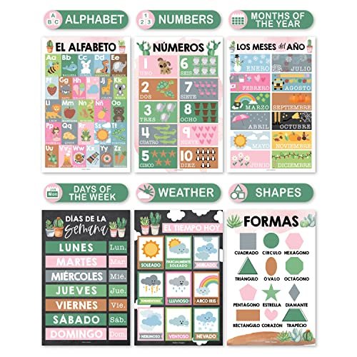 Cactus Spanish Posters | Set of 12 | Spanish Educational Supplies