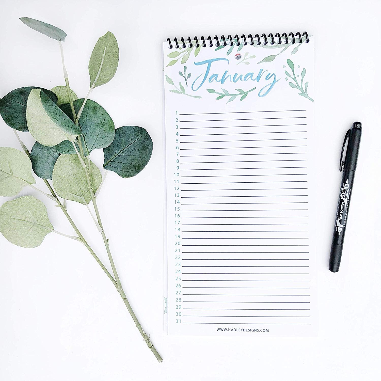 Perpetual Calendar | 12 Months | Home & Organization