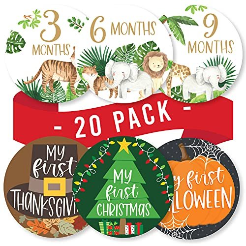 Baby Milestone Stickers | Set of 20 | Baby Supplies