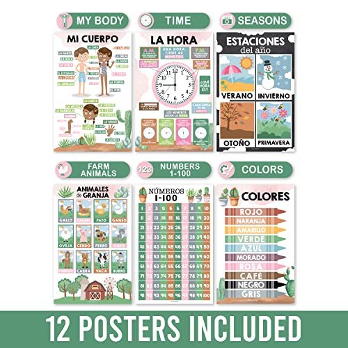 Cactus Spanish Posters | Set of 12 | Spanish Educational Supplies