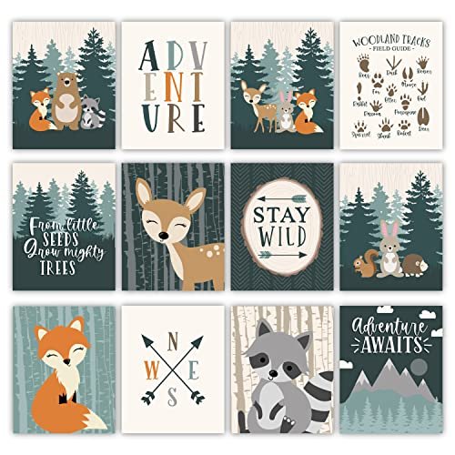 Woodland 2 Children's Wall Art | Set of 6 | Nursery Decor