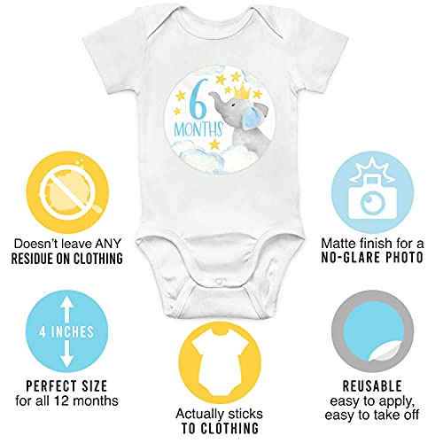 Baby Milestone Stickers