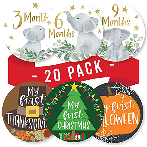 Baby Monthly Stickers | Zoo Animals Baby Milestone Stickers | Jungle  Newborn Boy or Girl Stickers | Month Stickers for Baby Boy | Gender Neutral  