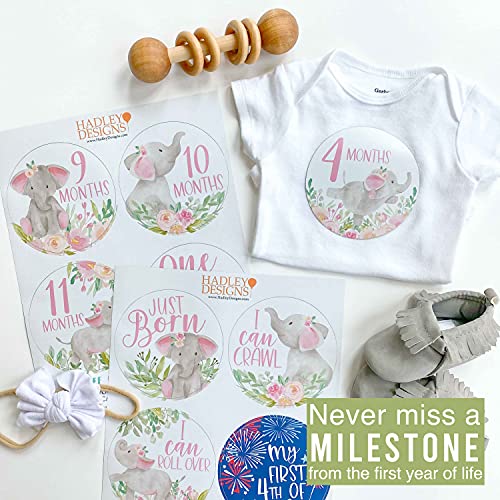 Baby Milestone Stickers